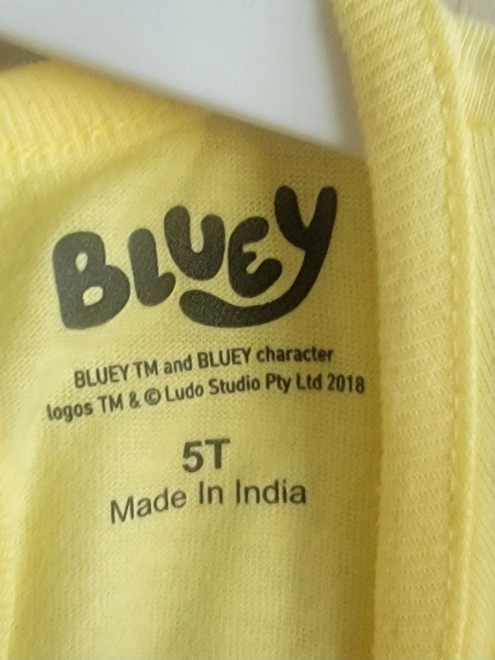 Bluey Girls 2-Piece Set 5T